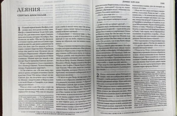 Библия 065 Сине-коричневая. Современный русский перевод, издание третье, переработанное. Мягкий переплет