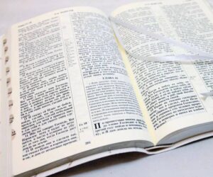 Библия 077TI кожа, белая, без замка, с поисковыми индексами