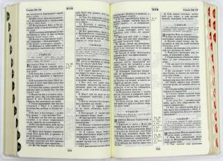 Библия 077 ZTI FIB -White. Russian Bible.  Кожа. Крупный шрифт