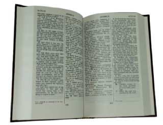 Новый Завет и Псалтырь. New Testament and Psalms. New American Standard verjion.  Англо - Русский параллельный Новый Завет