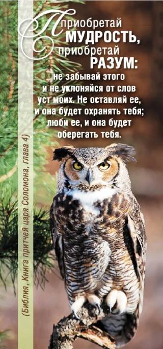 Закладка двойная на магните " Приобретай мудрость..."