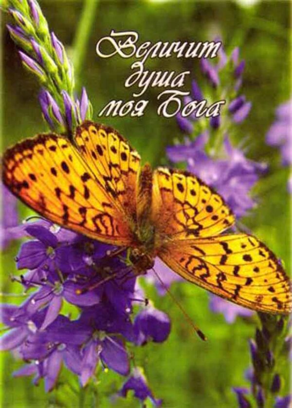 Величит душа моя Бога