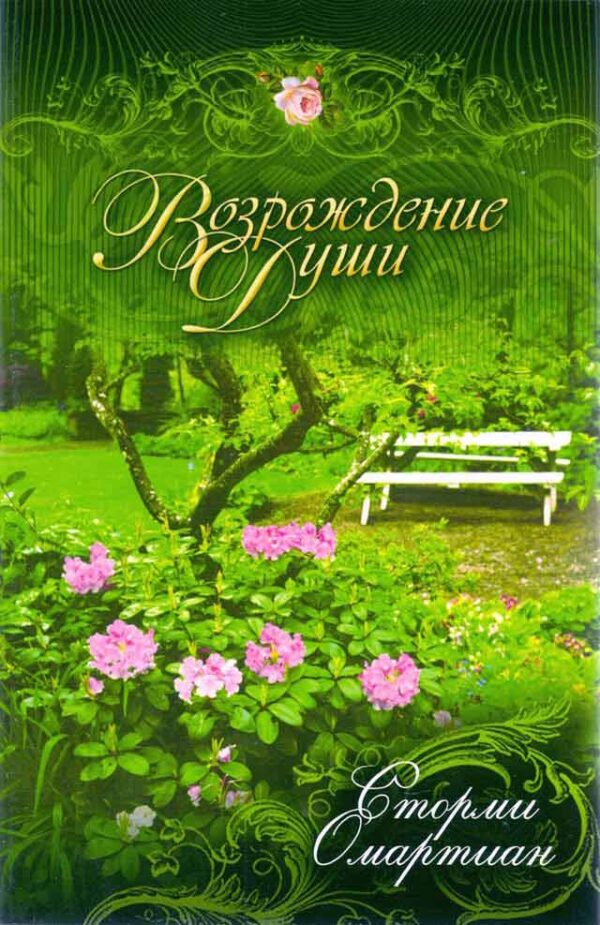 Возрождение души. Сторми Омартиан