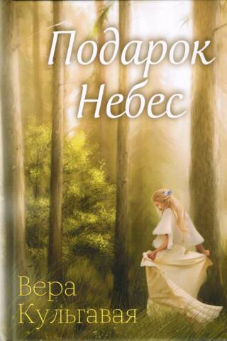 Подарок Небес. Роман