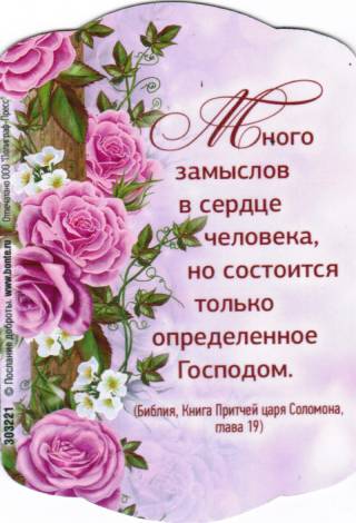 Магнит подарочный "Много замыслов..."