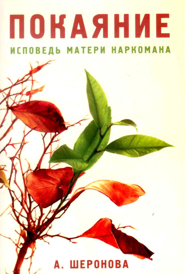 Покаяние. Исповедь матери наркомана