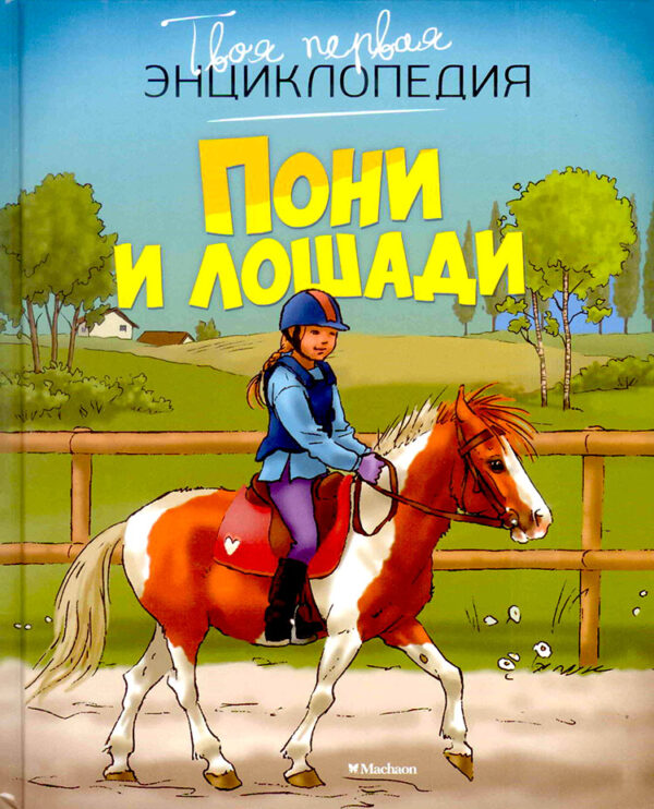 Пони и лошади