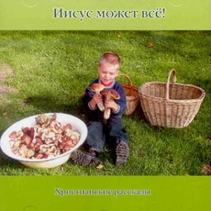 Иисус может все!  6 христианских рассказов для детей