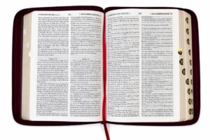English-Russian Parallel Bible Authorized Version (KJV)- Synodal Translation. Англо-Русская Параллельная Библия Авторизованная Версия KJV - Синодальное Издание. Коричневая, с замком, большой формат