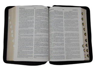 English - Russian Parallel Bible (KJV) Zipper, Blue-grey, Compact - Англо-Русская Параллельная Библия Авторизованная версия KJV- Синодальное издание, сине-серый, замок, компактный формат