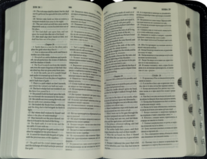 English-Russian Parallel Bible Authorized Version (KJV)- Synodal Translation, Dark Green & Tan, Zipper. Англо-Русская Параллельная Библия Авторизованная Версия KJV - Синодальное Издание. Зелено-бежевая, замок, компактная