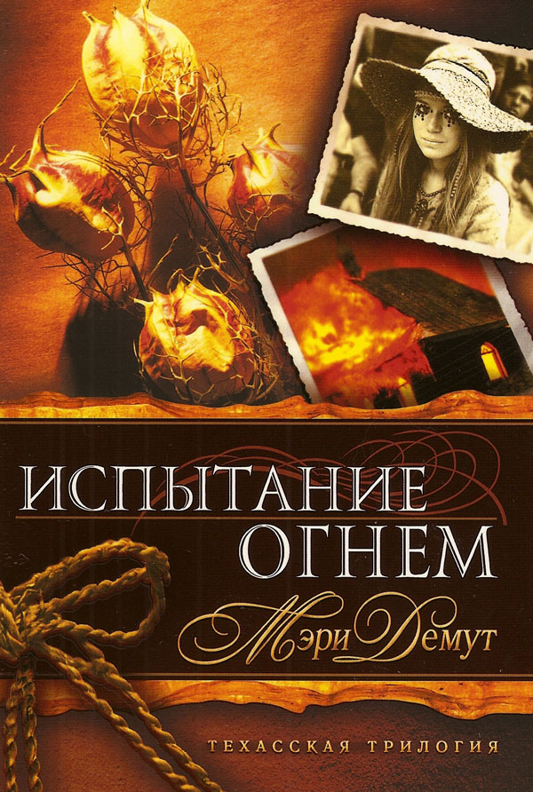 Испытание огнем. Книга 2