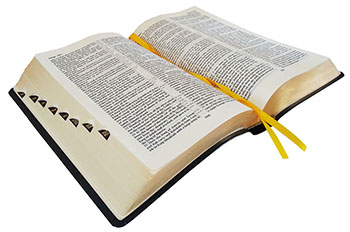English-Russian Parallel Bible (NASB ) / Англо-Русская Параллельная Библия, обложка коричневого цвета , 6x9x2 inches, без замка