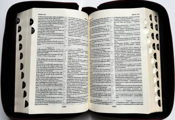 English-Russian Parallel Bible (NASB ) / Англо-Русская Параллельная Библия (Zipper-Black)