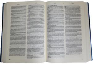 English-Russian Parallel Bible (ESV) Англо-Русская Параллельная Библия.