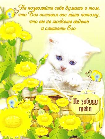 Не забуду тебя